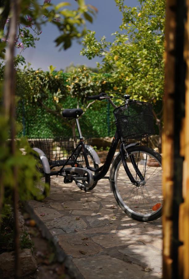 Lb Boutique Hotel Kumluca Екстериор снимка